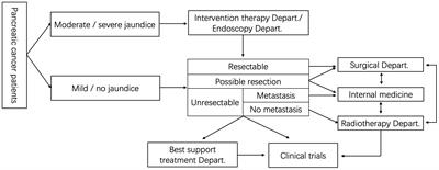 Multidisciplinary team diagnosis and treatment of pancreatic cancer: Current landscape and future prospects